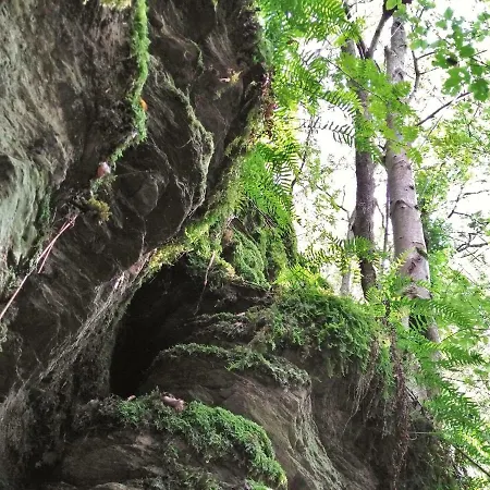 Apartment Well Gladenbach