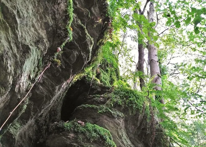 Apartment Well Gladenbach